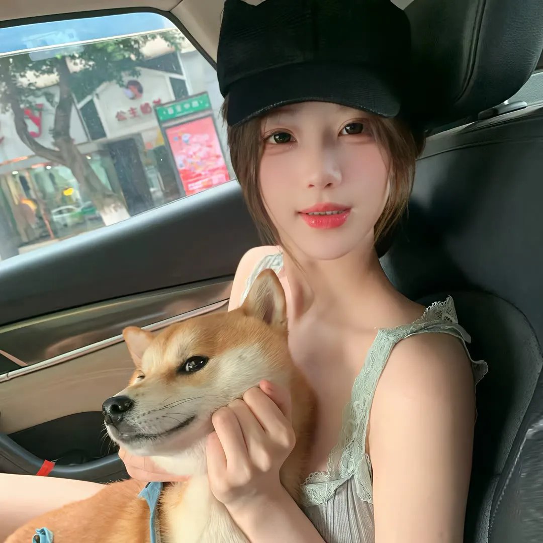 沙漠白日